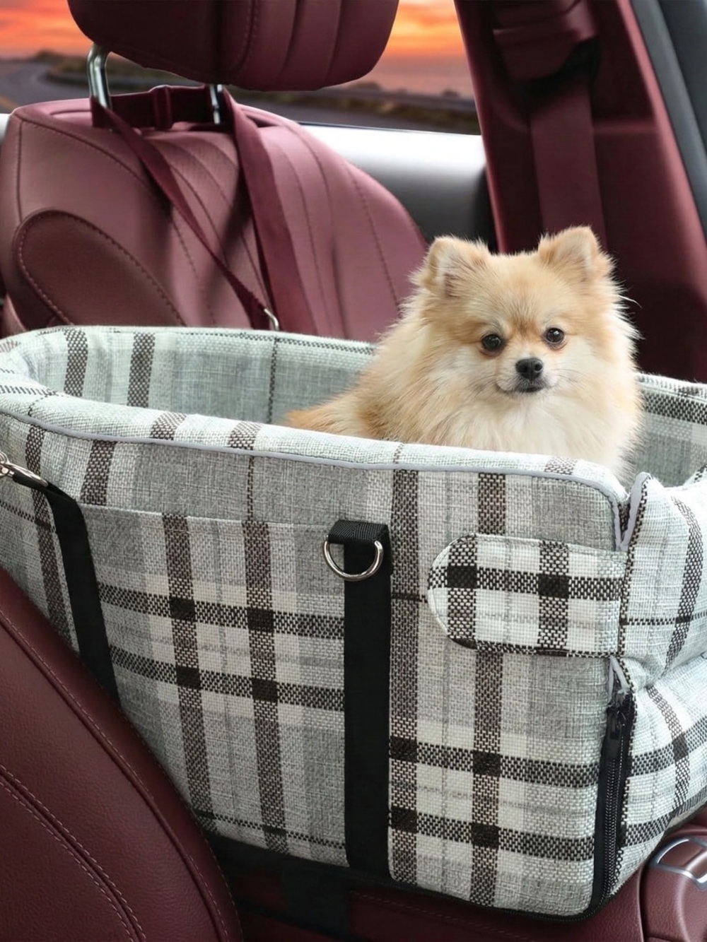 Portable center console seat and Carrier with soft washable cushion